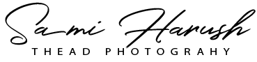 Hochzeitsfotograf in Zürich logo